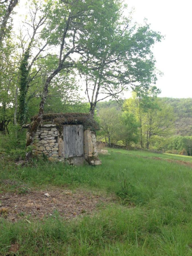 La Roulotte Clerelu - Du Domaine Des Ramonets Guest House Cahors Exterior photo